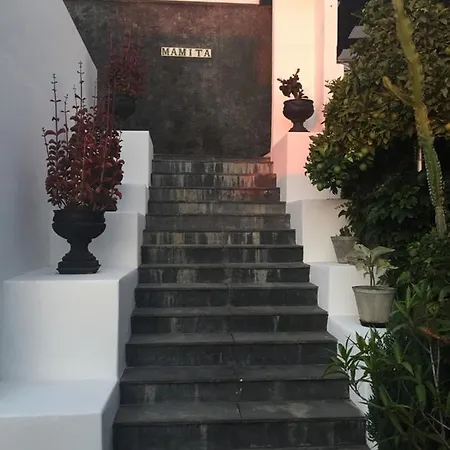 Mamita Los Llanos De Aridane